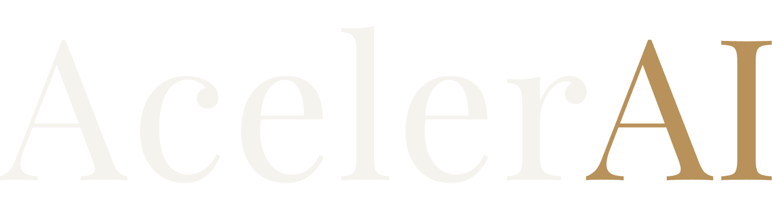 AcelerAI